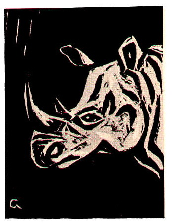 Bild Nashorn von Uli Aschenborn